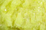 Bright-Yellow Sulfur Crystals - Bolivia #350635-1